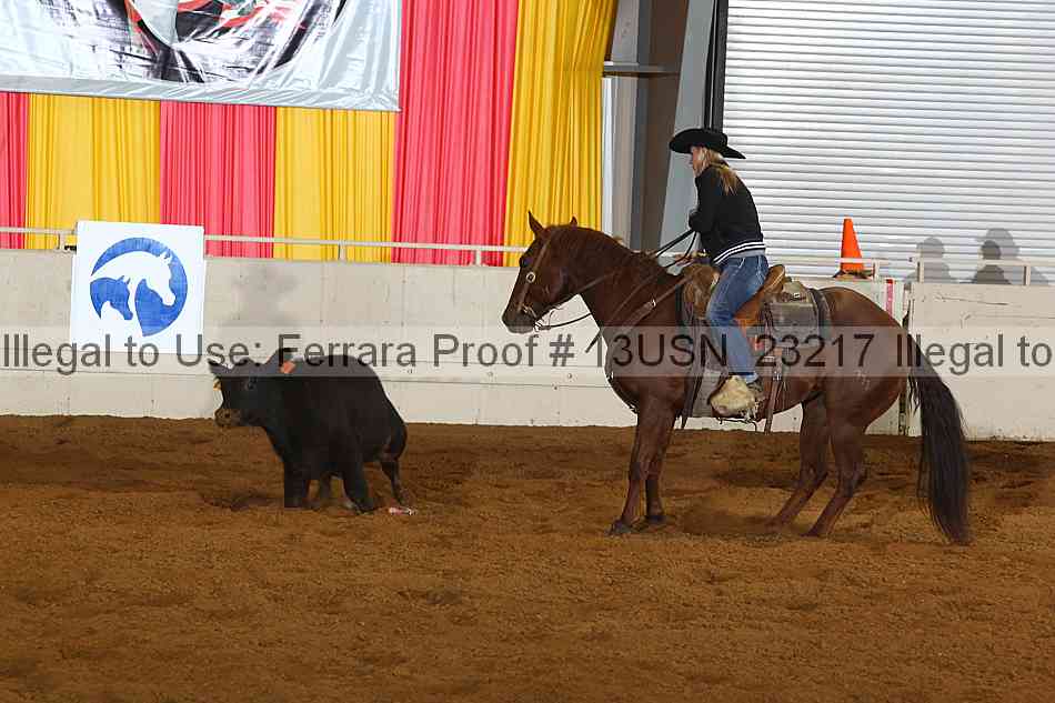 Proof 13usn_23217