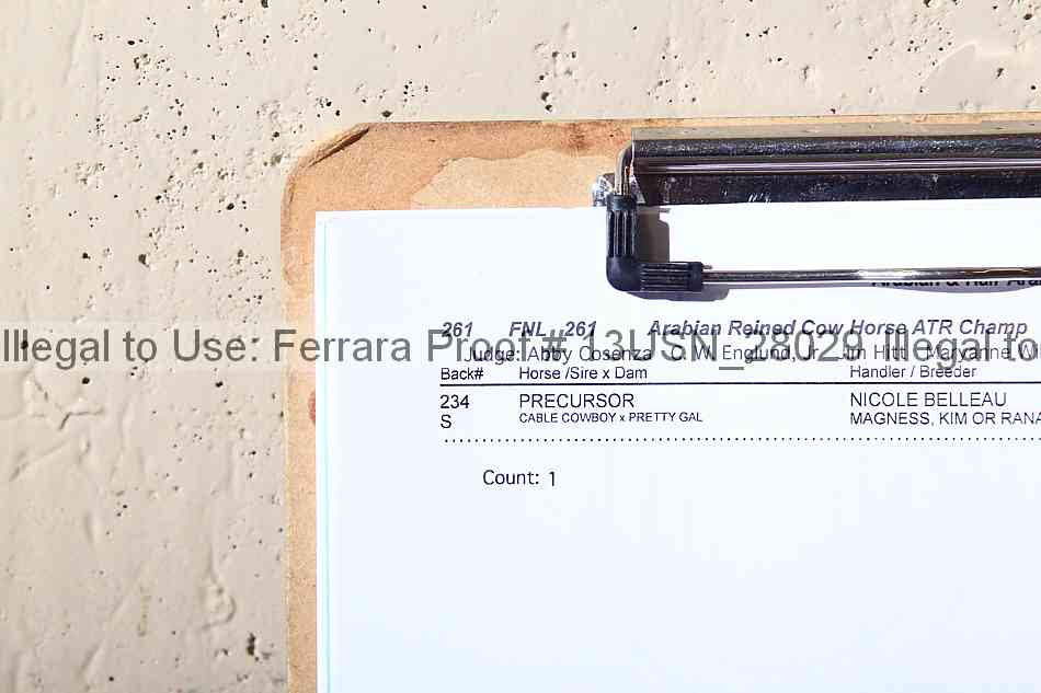 Proof 13usn_28029