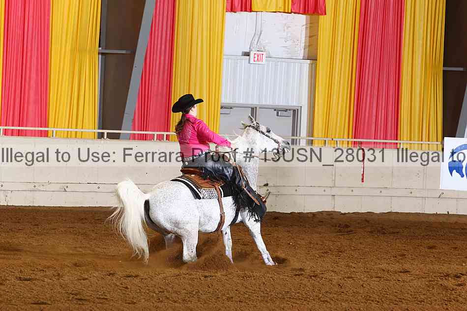 Proof 13usn_28031