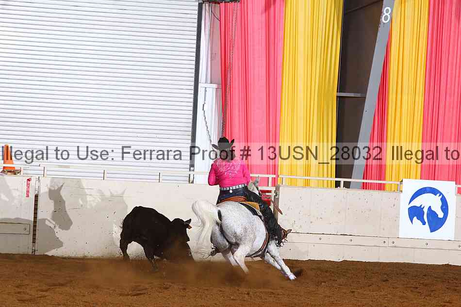 Proof 13usn_28032