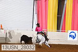 13usn_28032 proof