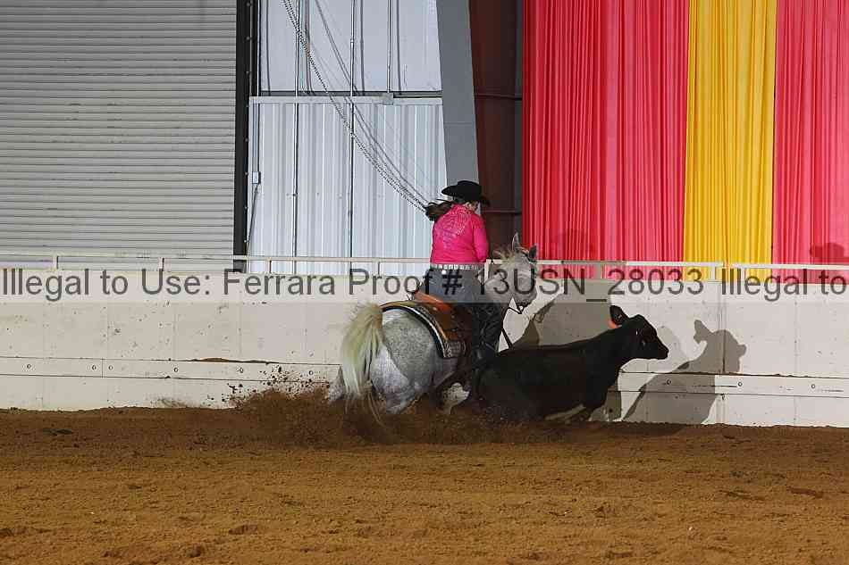 Proof 13usn_28033