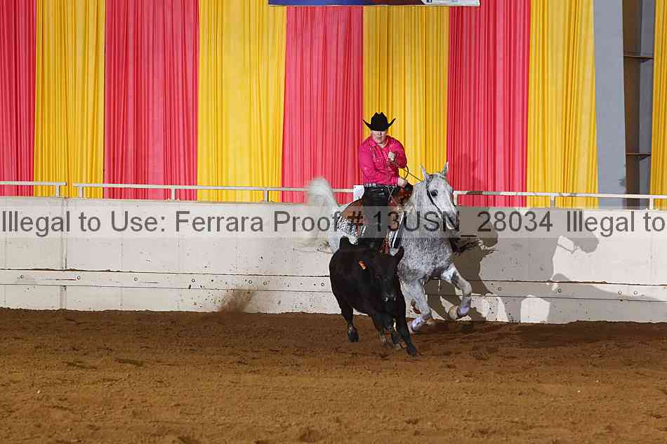 Proof 13usn_28034