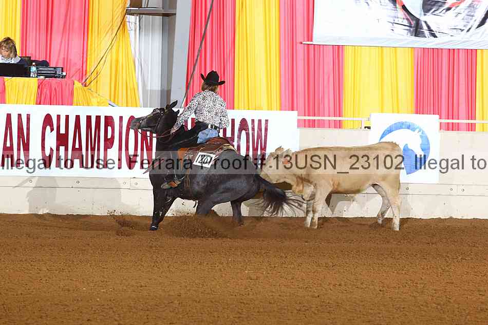Proof 13usn_23102