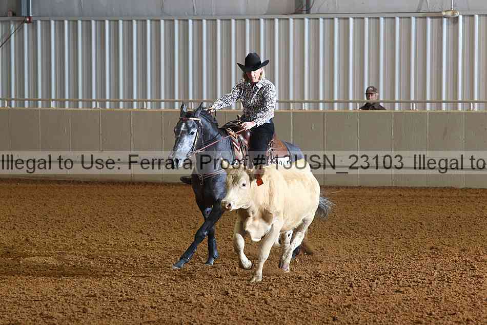 Proof 13usn_23103