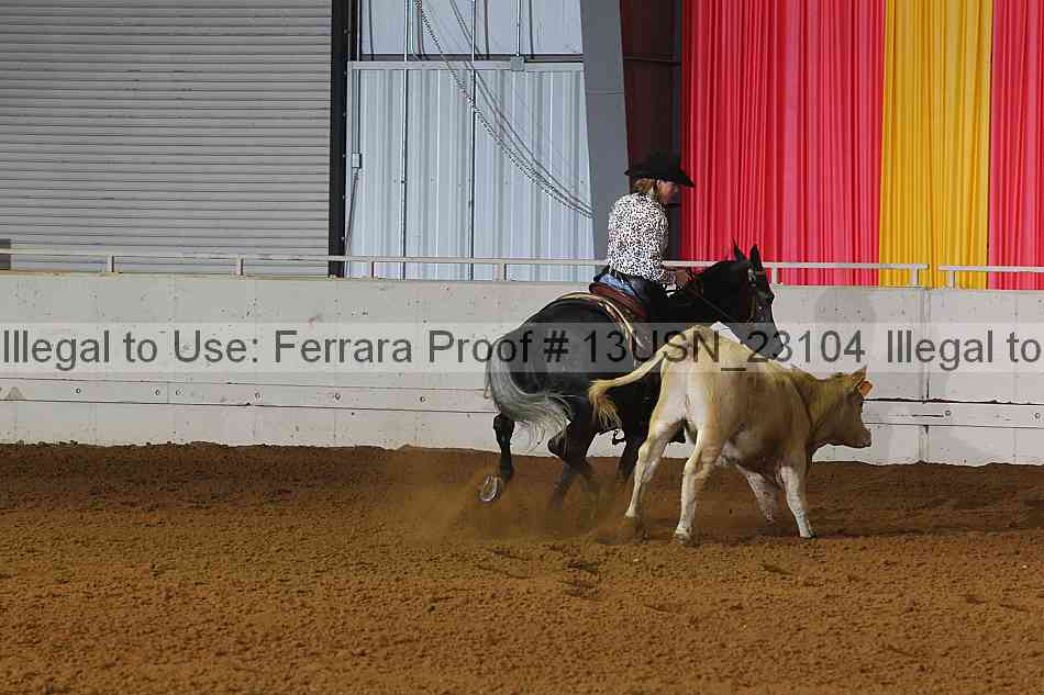 Proof 13usn_23104