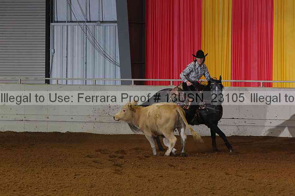 Proof 13usn_23105