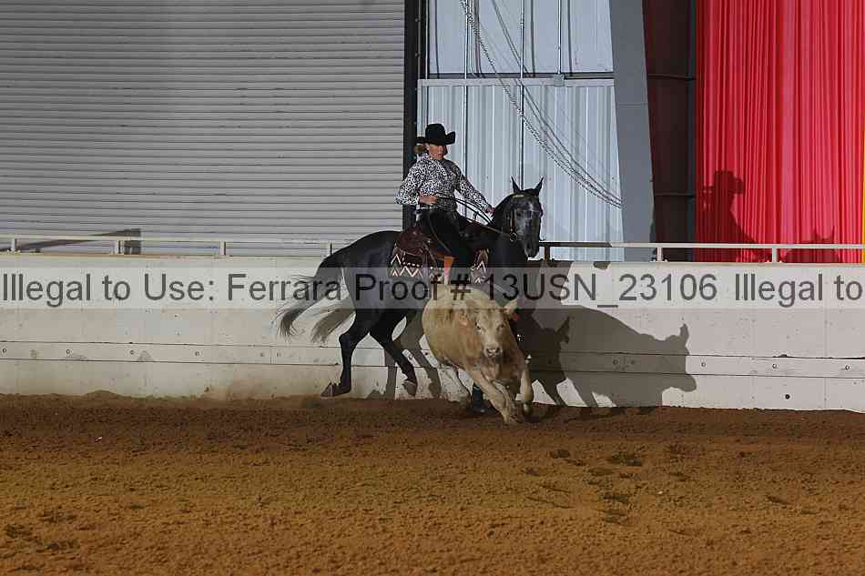 Proof 13usn_23106