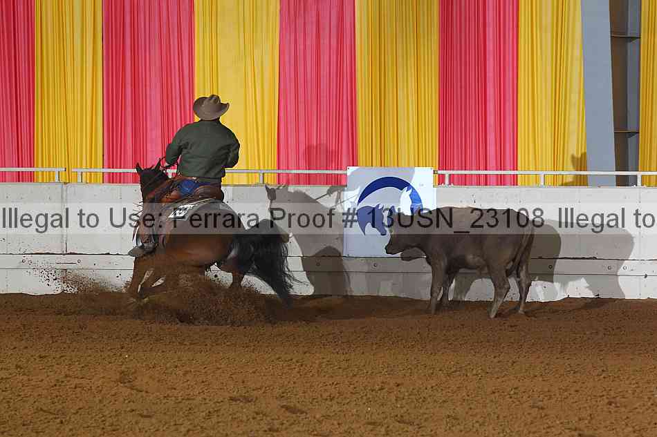 Proof 13usn_23108