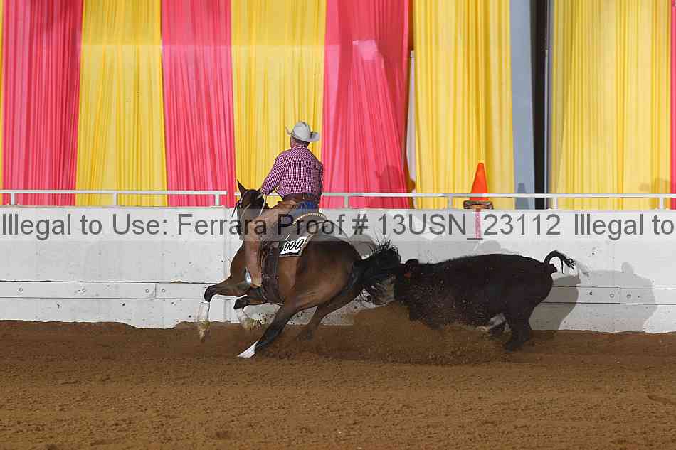 Proof 13usn_23112