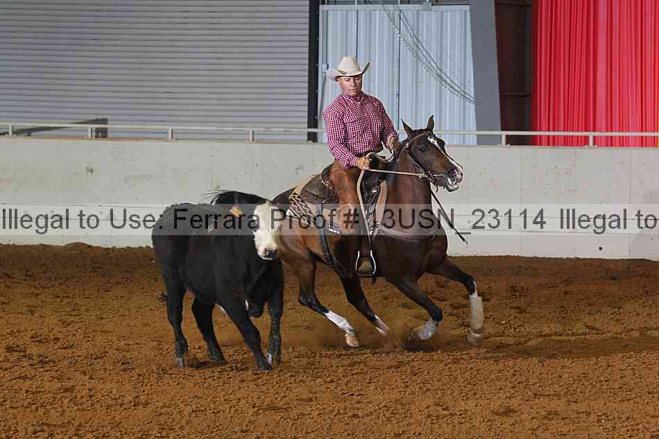 Proof 13usn_23114