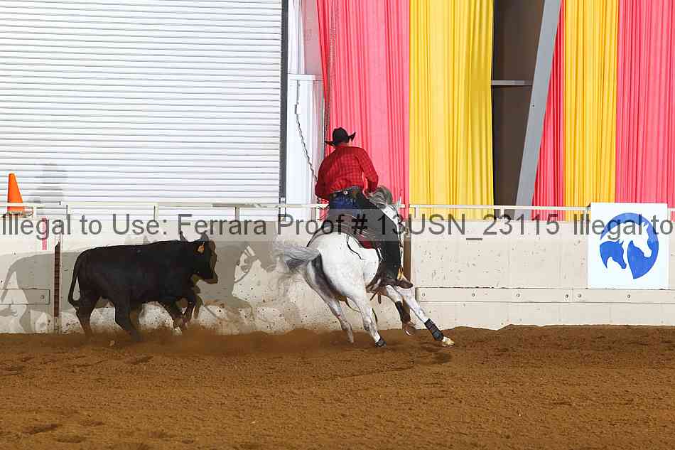 Proof 13usn_23115