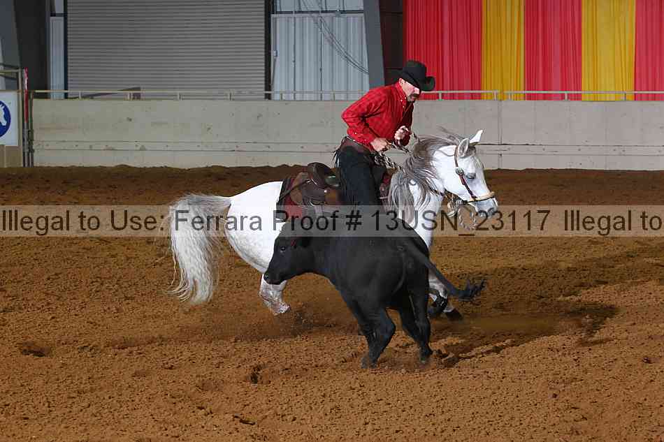 Proof 13usn_23117