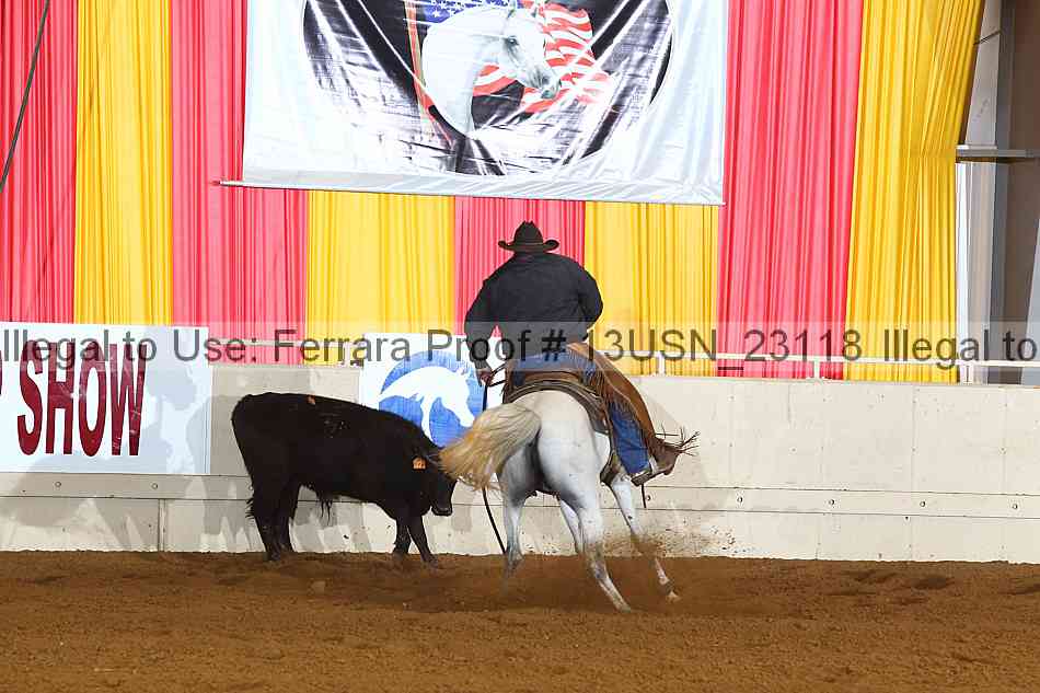 Proof 13usn_23118