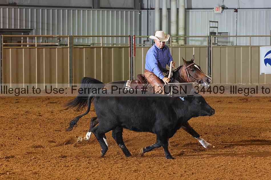 Proof 13usn_34409