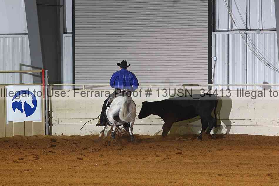 Proof 13usn_34413
