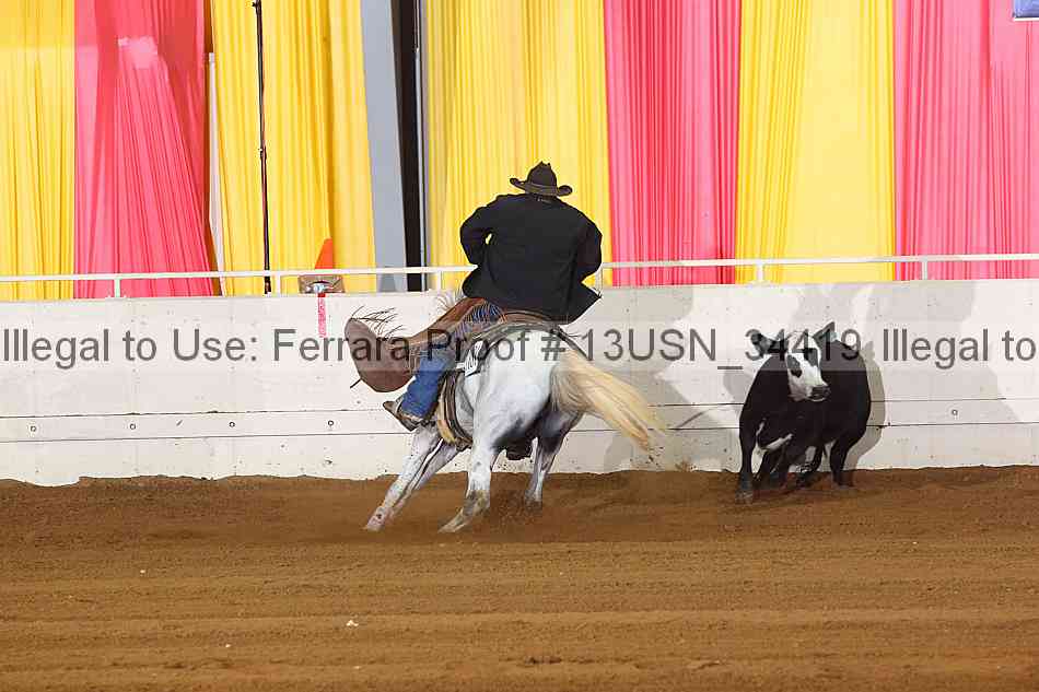 Proof 13usn_34419