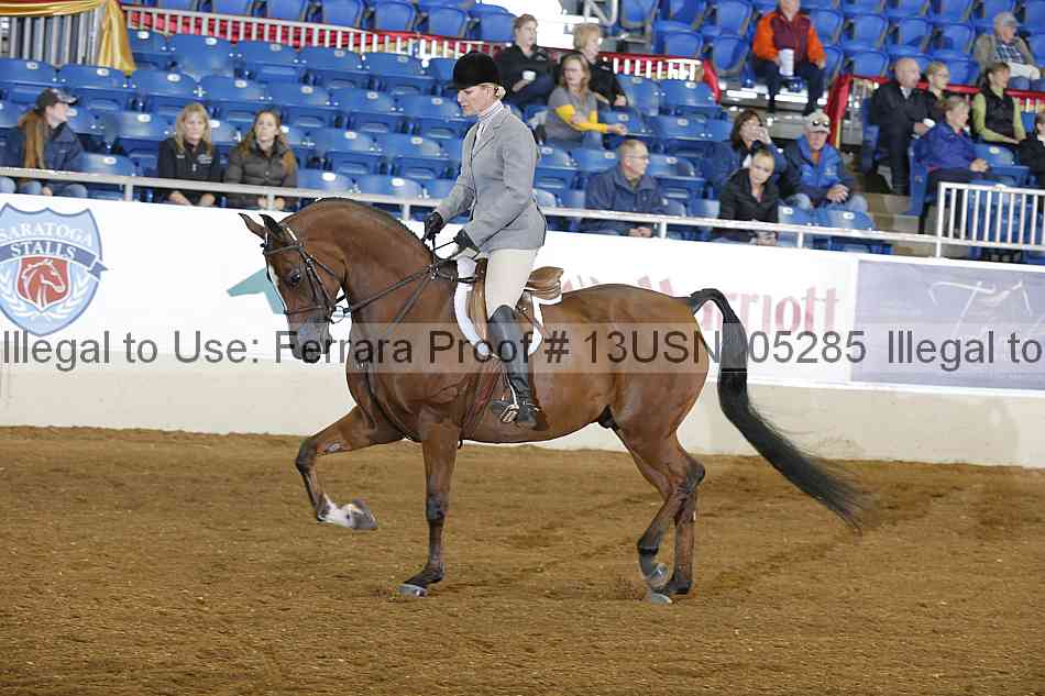 Proof 13usn_05285