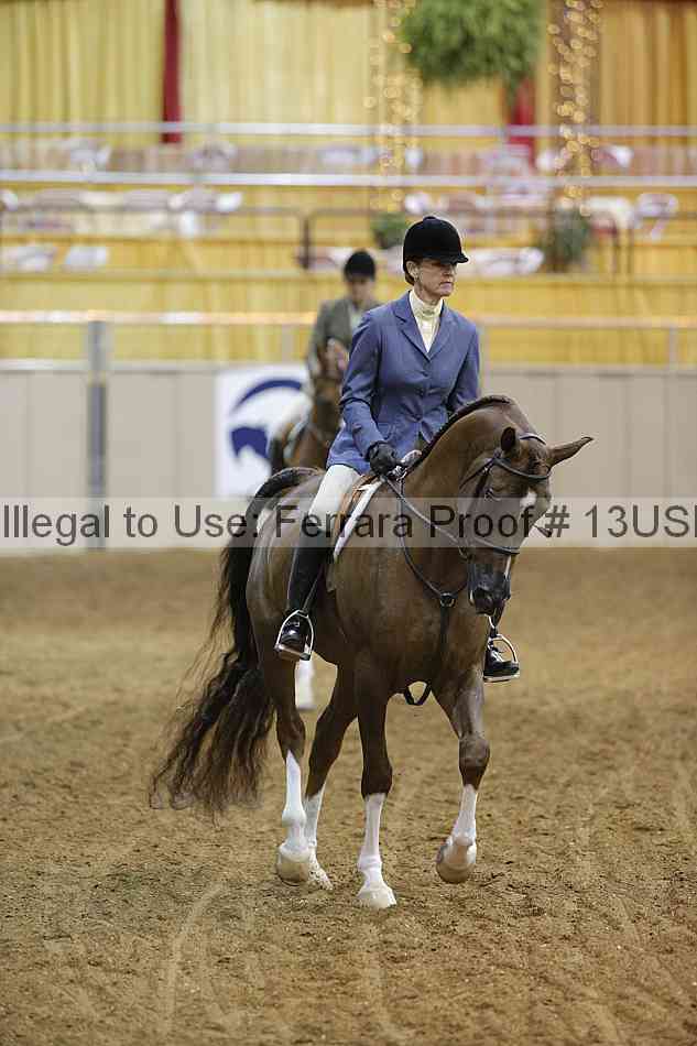 Proof 13usn_05290