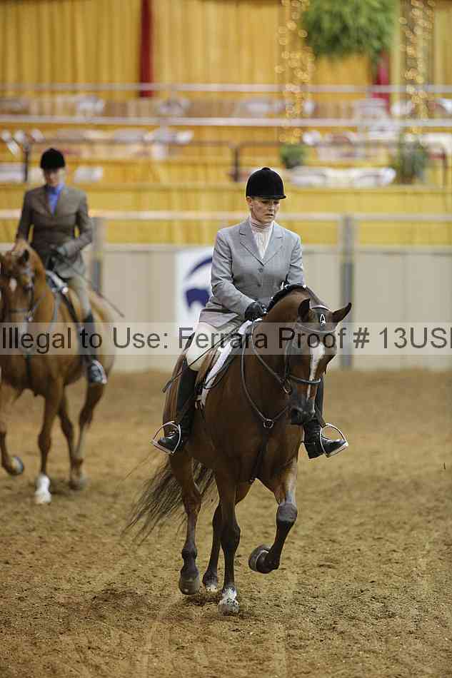 Proof 13usn_05293