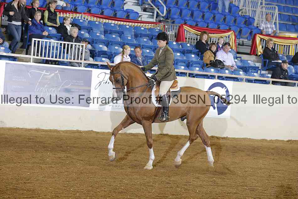 Proof 13usn_05294
