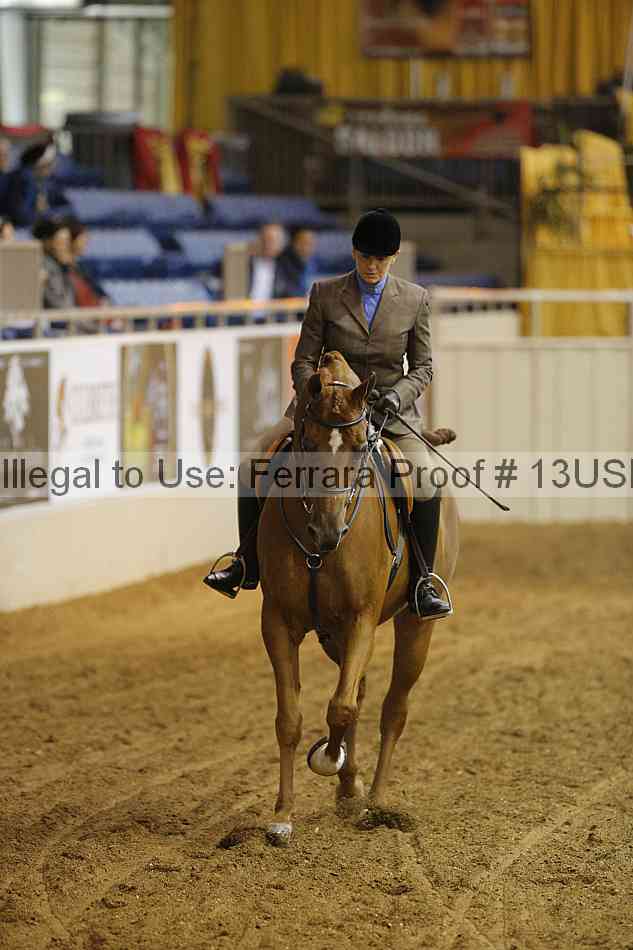 Proof 13usn_05296