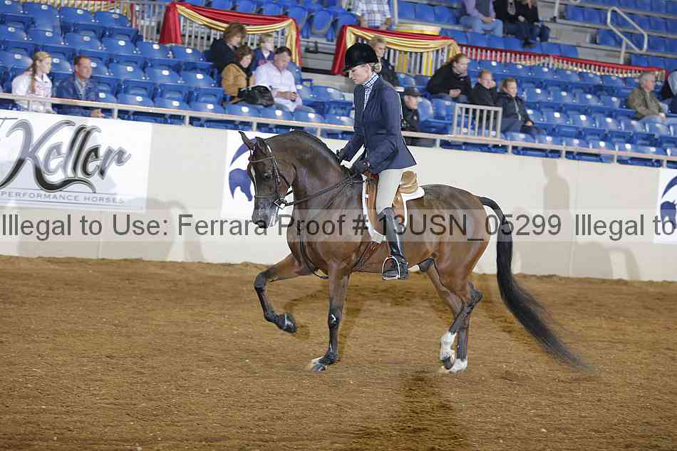 Proof 13usn_05299