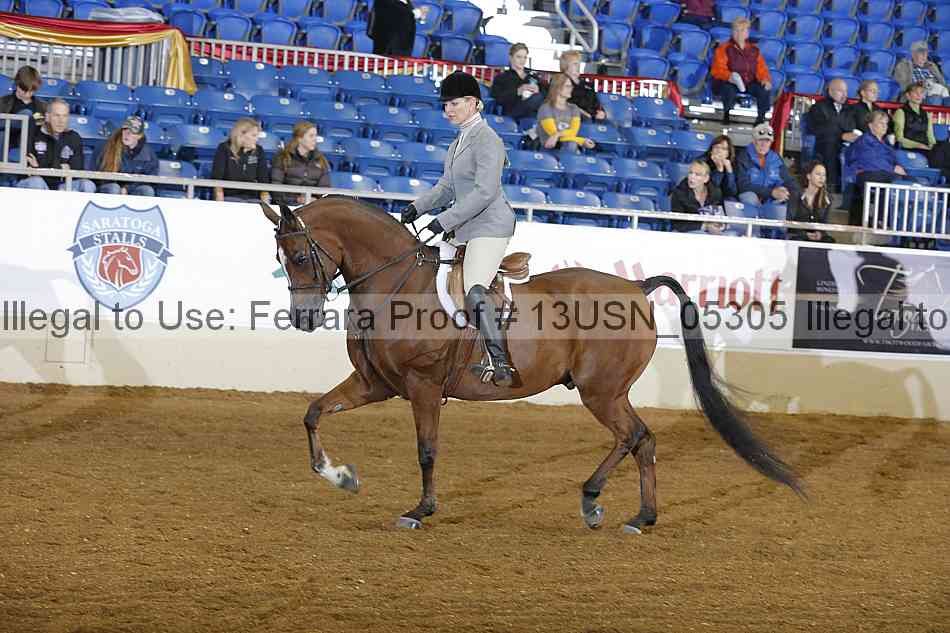 Proof 13usn_05305