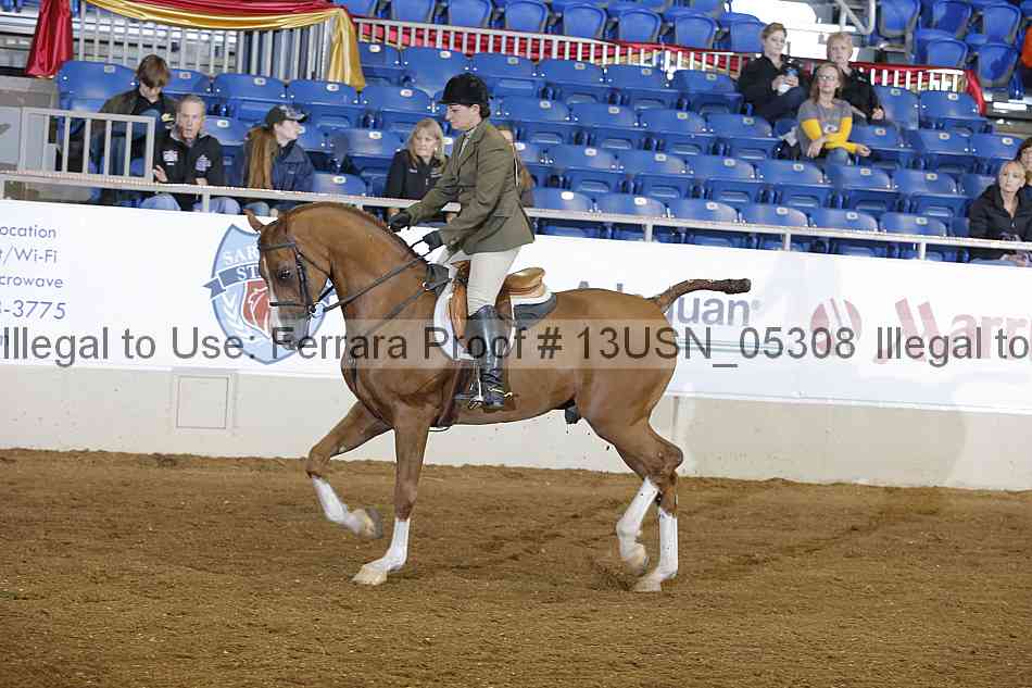 Proof 13usn_05308