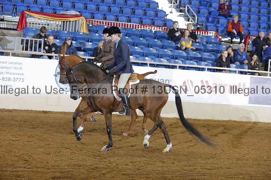 Proof 13usn_05310