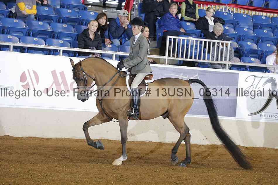 Proof 13usn_05314