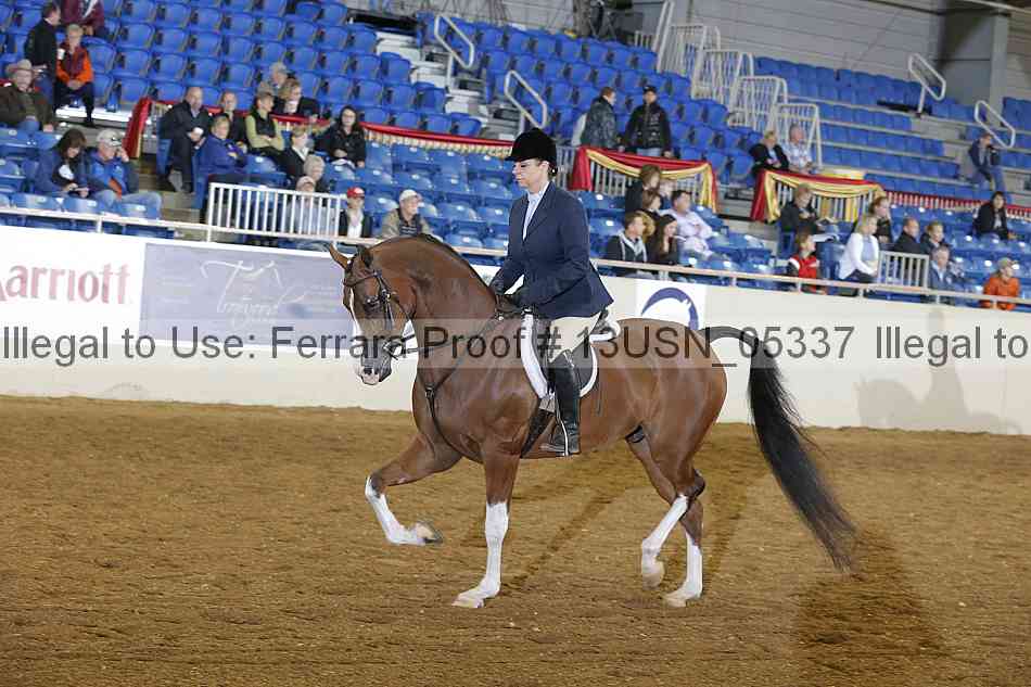 Proof 13usn_05337