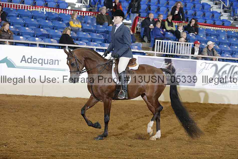 Proof 13usn_05339