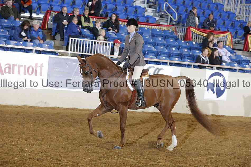 Proof 13usn_05340