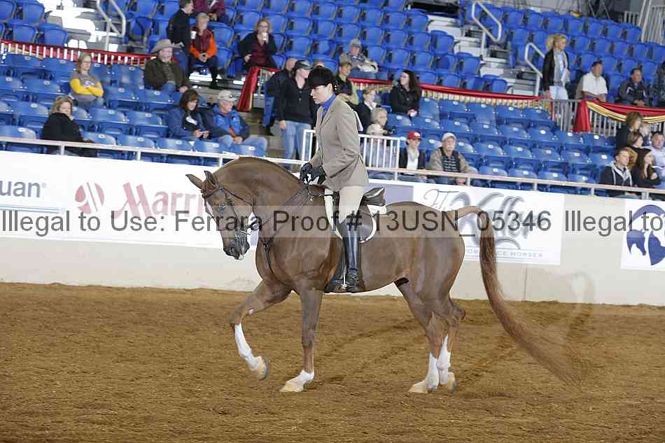 Proof 13usn_05346