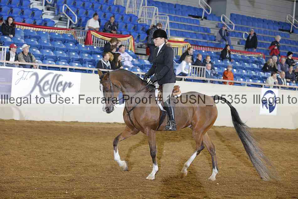Proof 13usn_05355