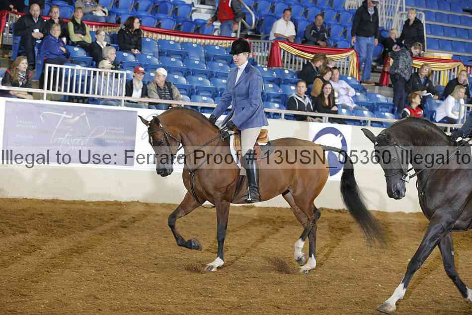 Proof 13usn_05360