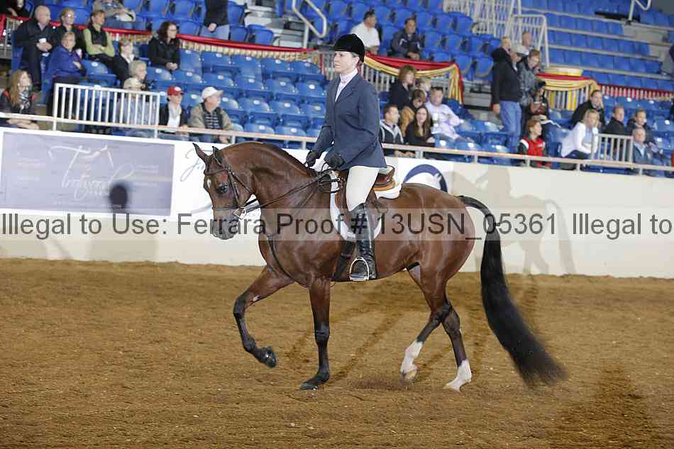 Proof 13usn_05361