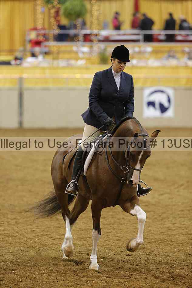 Proof 13usn_05383