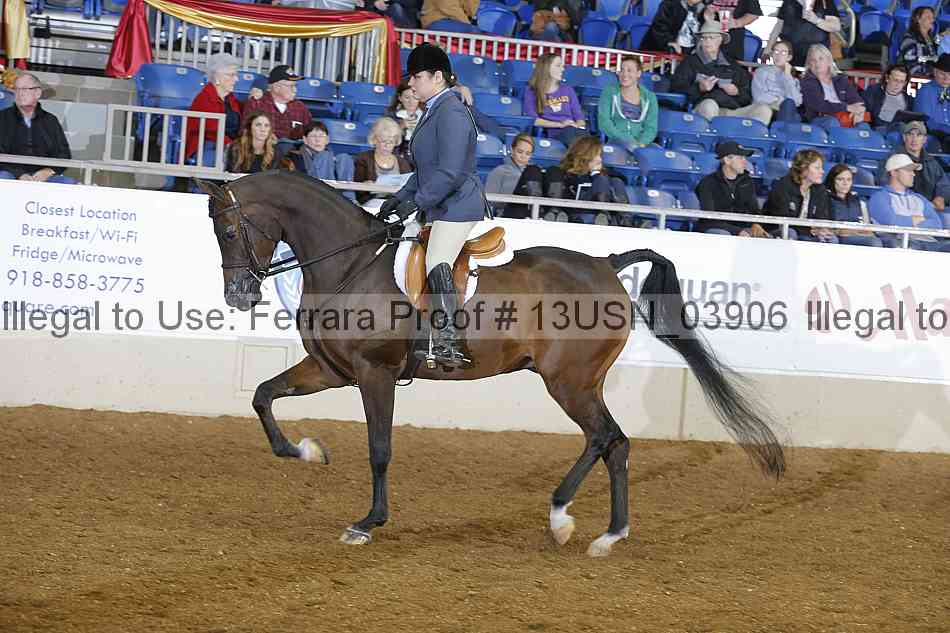 Proof 13usn_03906