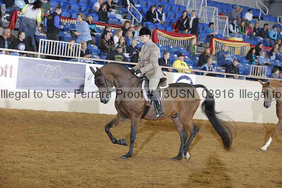 Proof 13usn_03916