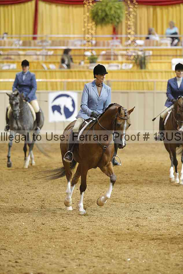 Proof 13usn_03922