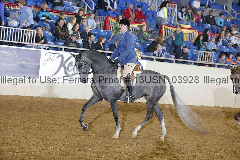Proof 13usn_03928