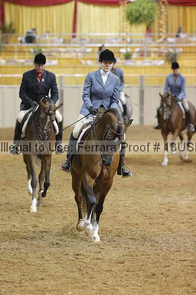 Proof 13usn_03935