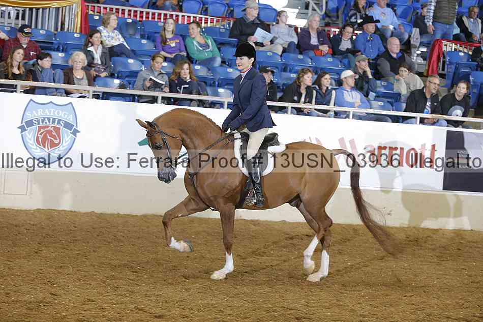 Proof 13usn_03936