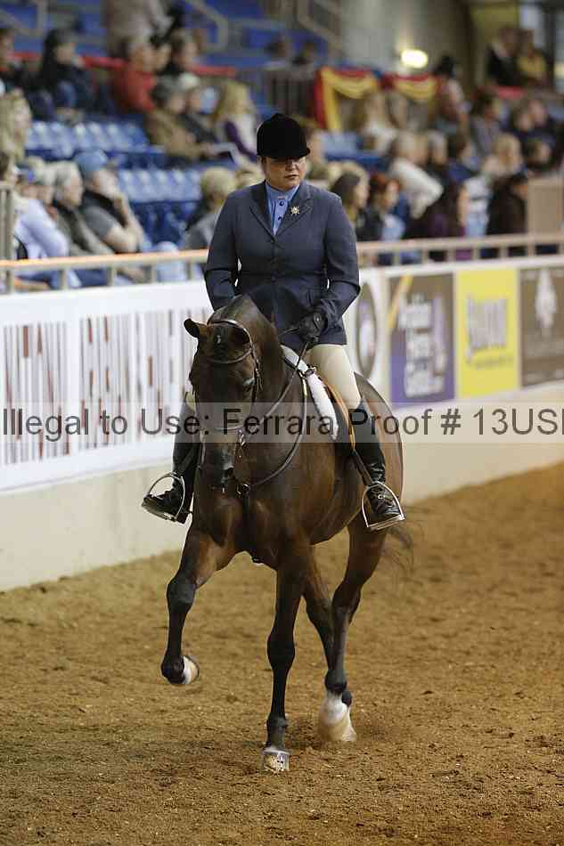 Proof 13usn_03947