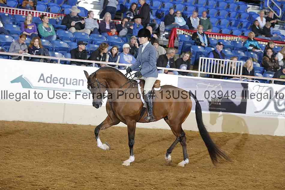Proof 13usn_03948