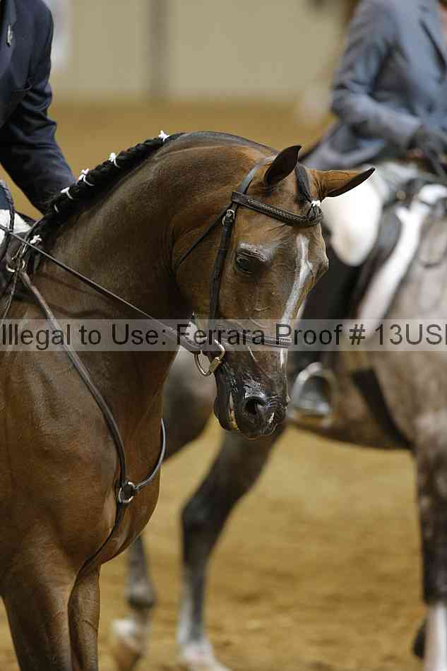 Proof 13usn_03950