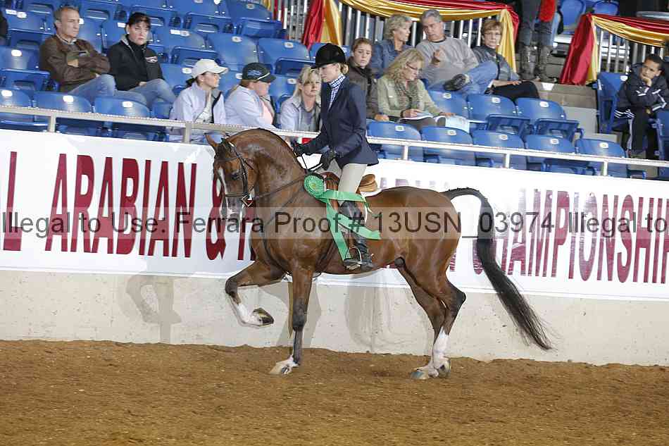 Proof 13usn_03974