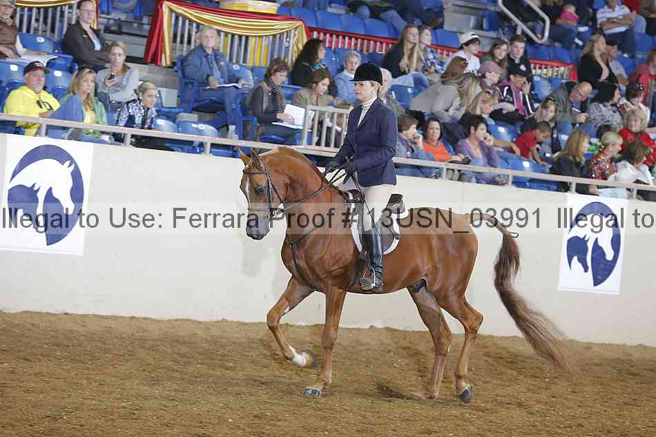 Proof 13usn_03991